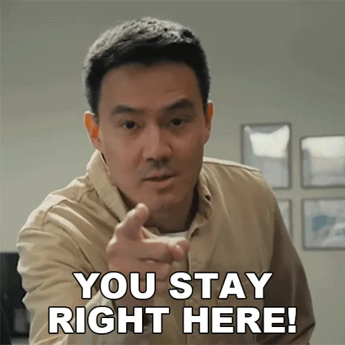 Un gif avec un homme qui pointe du doigt en disant “YOU STAY RIGHT HERE!”
